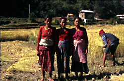 Helambu